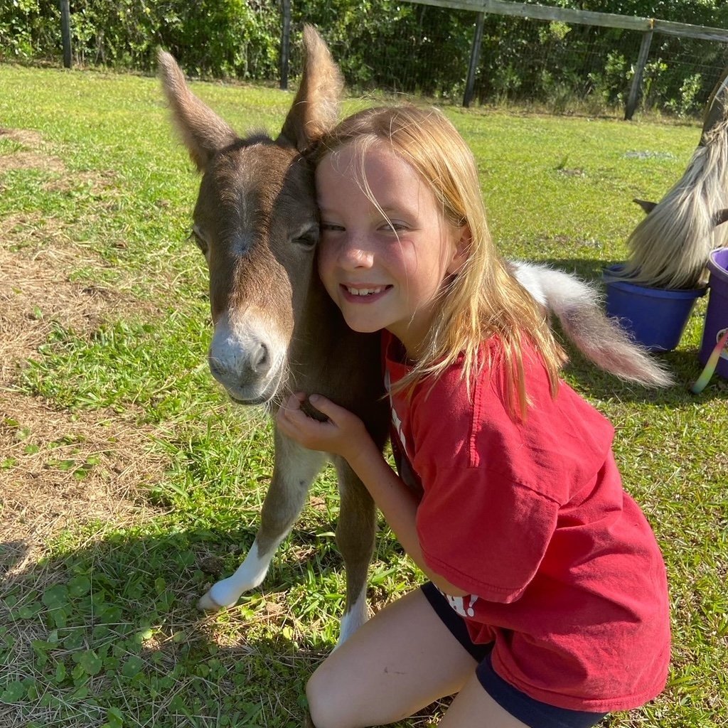 Young girl smiling and hugging a small pony in a grassy outdoor setting, showcasing a joyful interaction between children and animals.